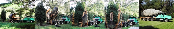 Massachusetts Tree Transplant by Belko Landscaping, Salem NH